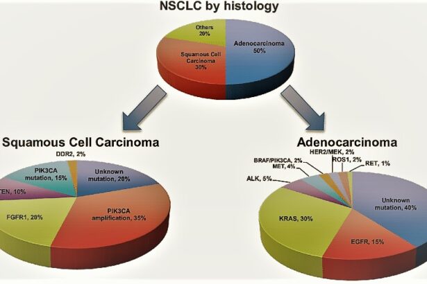 NSCLs